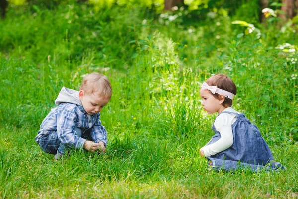 屋外の子供たち — ストック写真