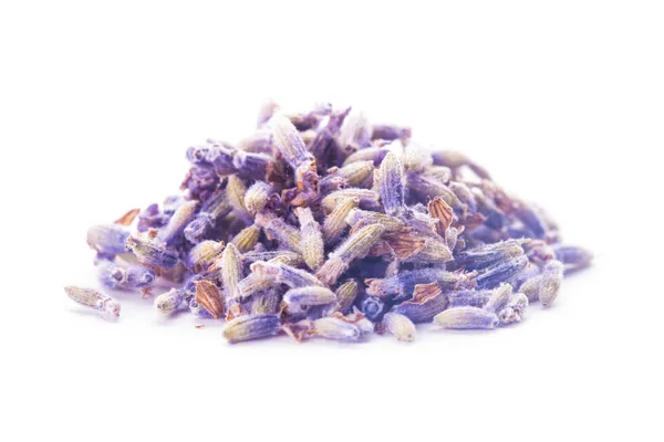 Dry lavender bunch — Stock Photo, Image