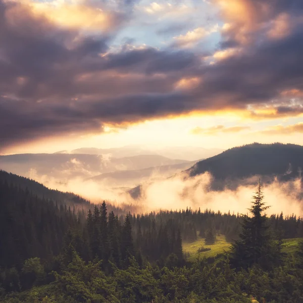 Landschaft mit Nebel — Stockfoto