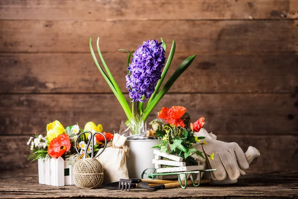 Attrezzi da giardino — Foto Stock