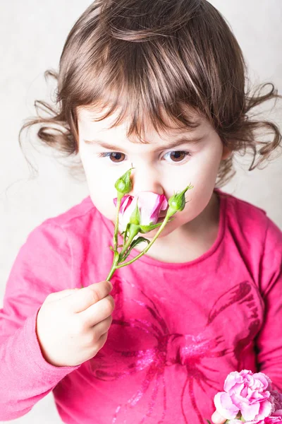 Rose smell — Stock Photo, Image