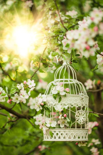 鳥籠-ロマンチックな装飾 — ストック写真