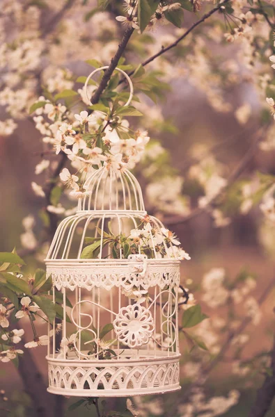 Gaiola de pássaro - decoração romântica — Fotografia de Stock