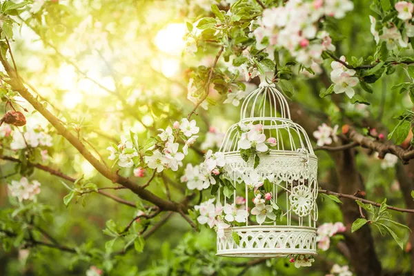 Cage à oiseaux - décor romantique — Photo