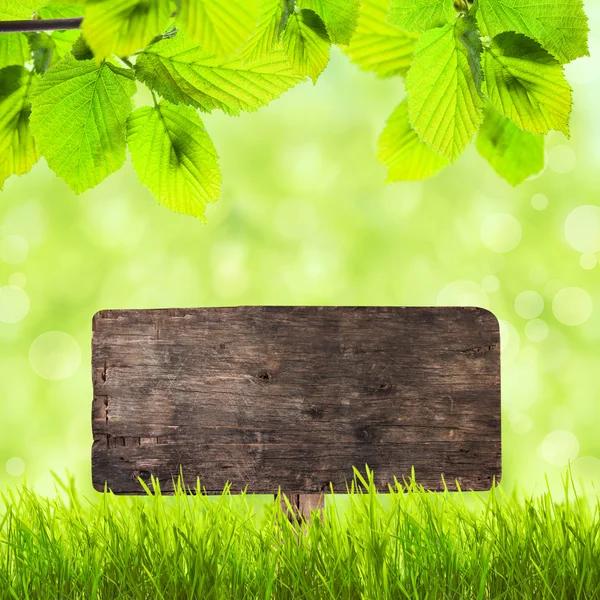 Placa de madeira sobre grama verde — Fotografia de Stock