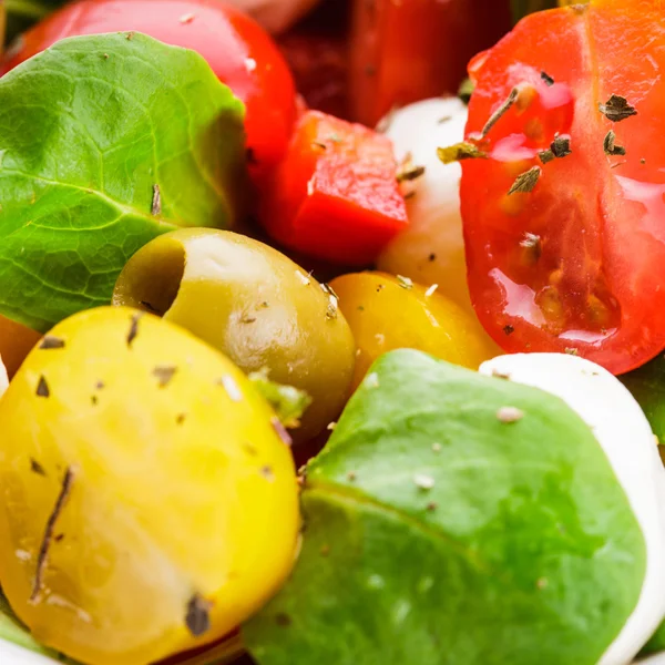 Fräsch sallad — Stockfoto