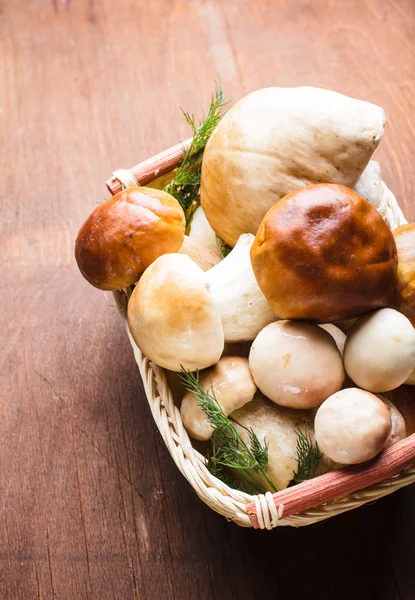 Ceps in the basket — Stock Photo, Image