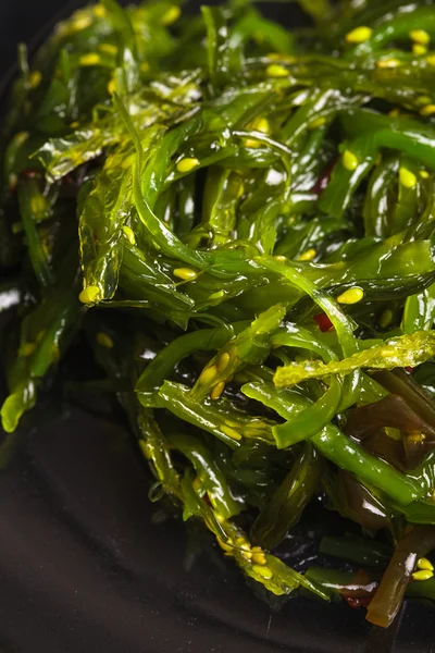 Ensalada de algas — Foto de Stock