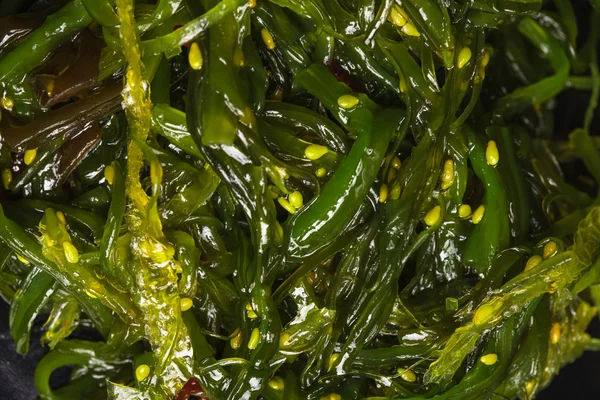 Ensalada de algas — Foto de Stock