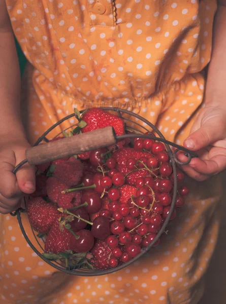 Red summer fruits — Stock Photo, Image