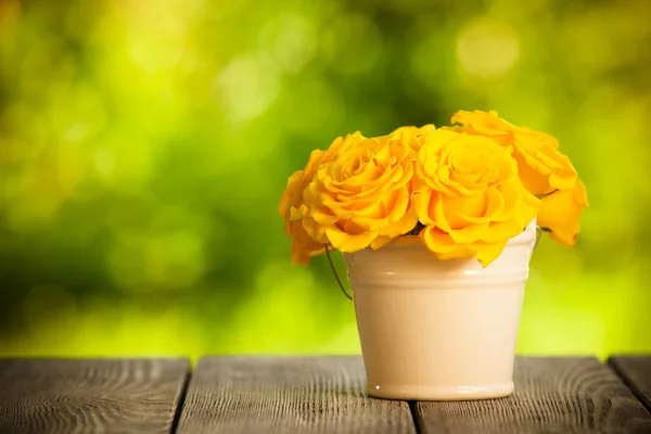 Růže v kbelíku — Stock fotografie