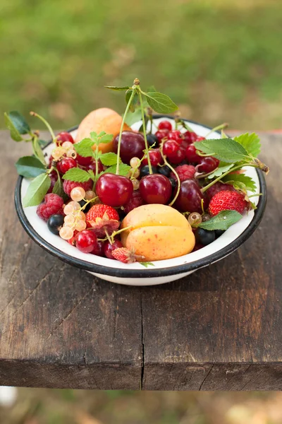 Sommar frukt — Stockfoto