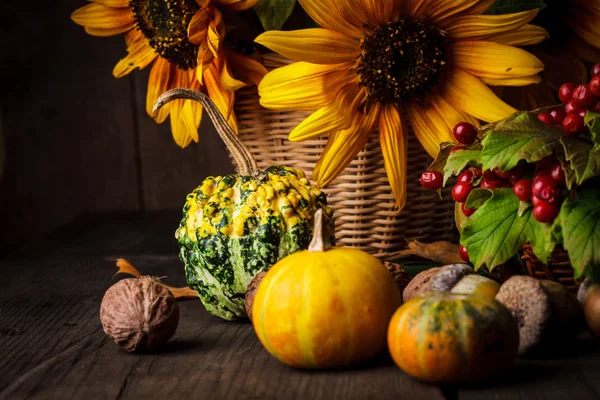 Still life in colours of autumn — Stock Photo, Image