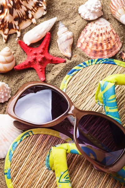 Muscheln auf dem Sand — Stockfoto