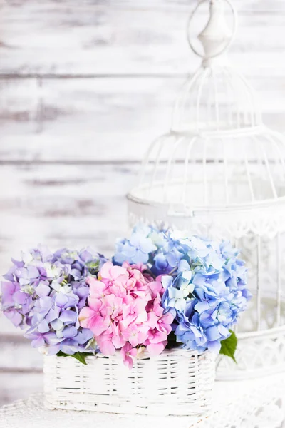 Hortensienblüten — Stockfoto