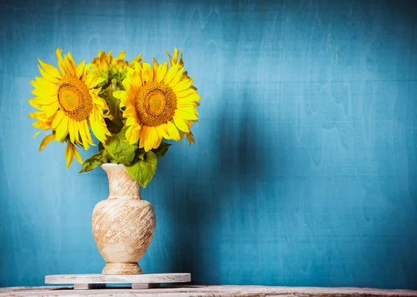 Zátiší slunečnice — Stock fotografie