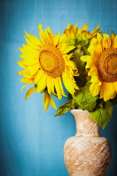 Zonnebloem stilleven — Stockfoto