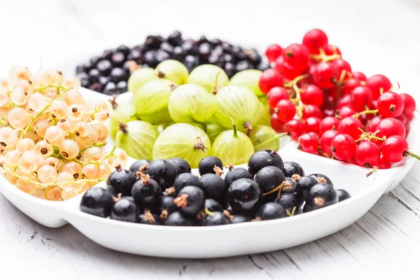 Currants and gooseberry — Stock Photo, Image