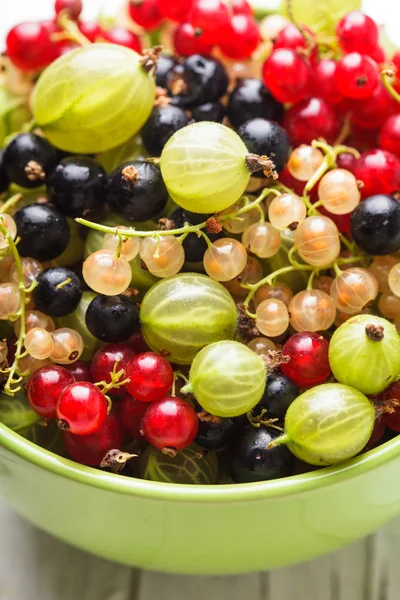 Currants and gooseberry — Stock Photo, Image