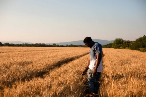 畑の真ん中に立つ若い農家 — ストック写真