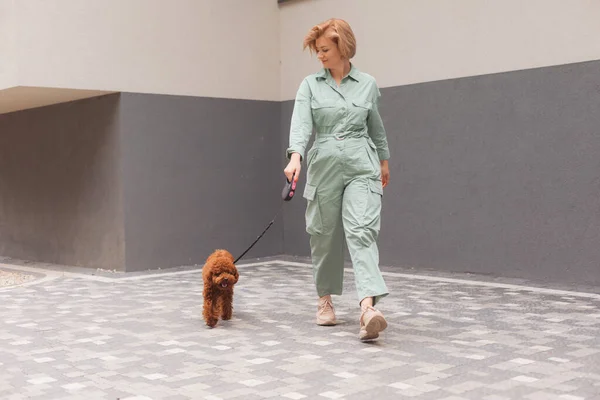 Mulher andando na cidade com Brown Toy Poodle — Fotografia de Stock