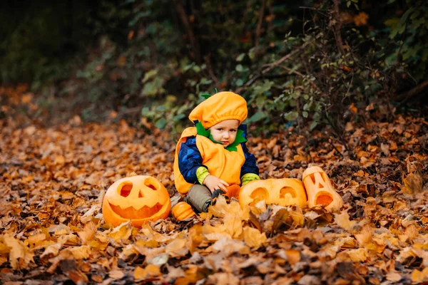 Lindo chico en traje de calabaza entre calabazas talladas — Foto de Stock