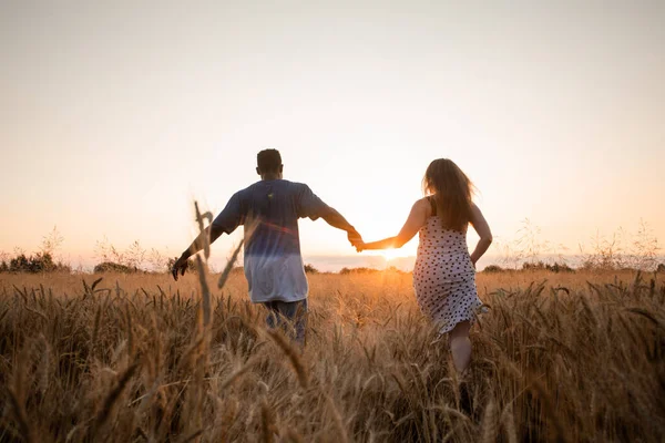 Junges erwachsenes Paar hält Händchen beim Gassigehen im Feld — Stockfoto