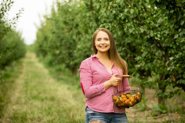 ผู้หญิงที่ยิ้มกับตะกร้าแอปริคอทในสวน — ภาพถ่ายสต็อก