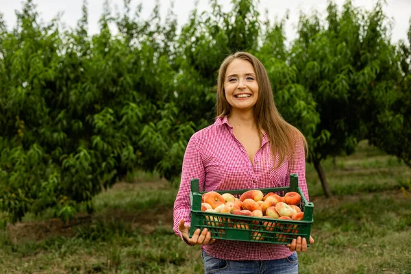 Ung kvinna köper färska frukter på lokal gård — Stockfoto