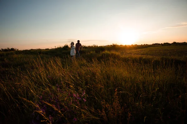 Casal encantador andando no campo de verão — Fotografia de Stock