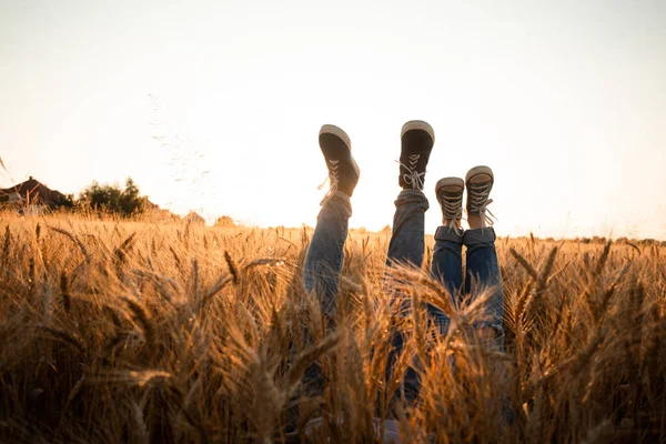 Casais pernas sobre campo de grãos e céu — Fotografia de Stock