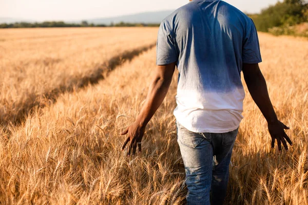 Jungbauer steht mitten auf dem Feld — Stockfoto