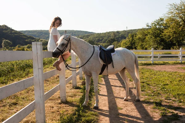 La donna felice accarezza un cavallo mentre siede su una recinzione — Foto Stock