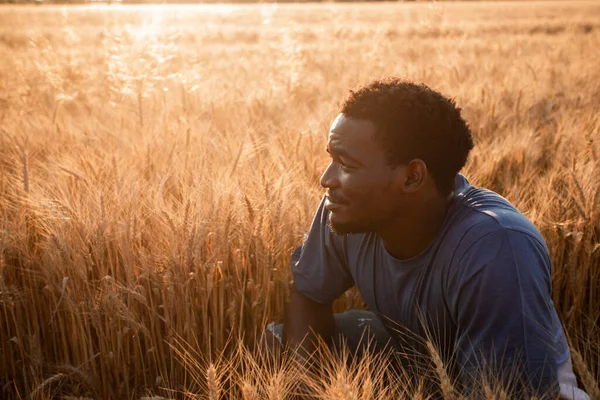 穀物畑でハンサムな正の若い男 — ストック写真