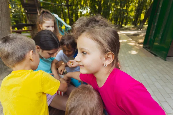 The group of little children shares popcorn in the park — Stock Photo, Image