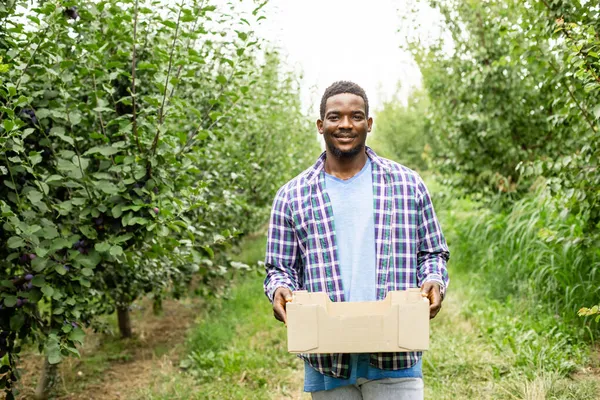 Zadowolony rolnik trzymający drewniane pudełko z uprawami — Zdjęcie stockowe
