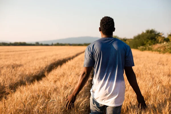 Jeune agriculteur debout au milieu du champ — Photo