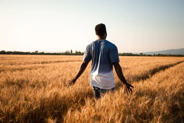 Joven agricultor de pie en medio del campo —  Fotos de Stock