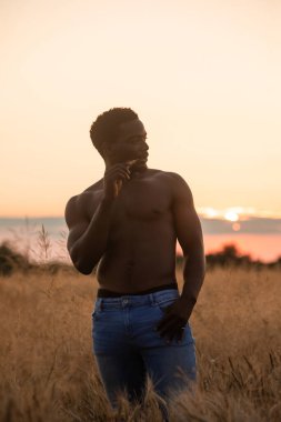 Çavdar tarlasında poz veren yakışıklı kaslı adam.