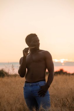 Çavdar tarlasında poz veren yakışıklı kaslı adam.