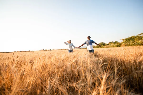 Razza mista giovane coppia adulta che si tiene per mano mentre si cammina nel campo — Foto Stock