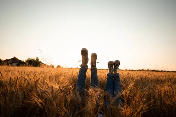 穀物畑と空の上のカップルの足 — ストック写真