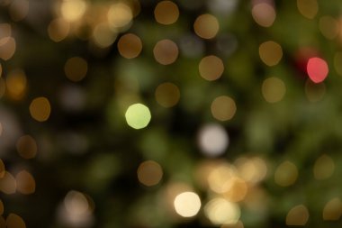 Arka planda ışıklar olan odaklanmış noel ağacı