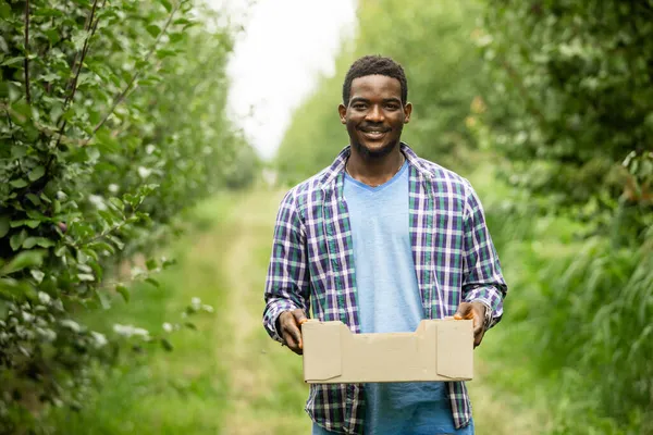 Zadowolony rolnik trzymający drewniane pudełko z uprawami — Zdjęcie stockowe