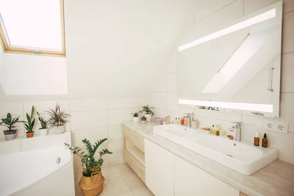 Primer plano de dos lavabos diseñados con plantas — Foto de Stock