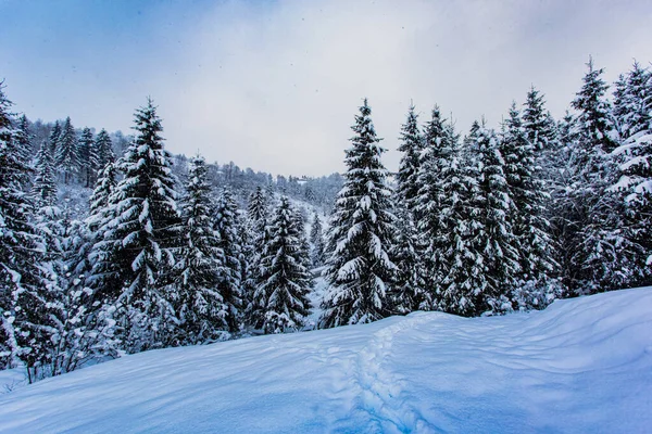 Hiver dans les montagnes et brise-vent après les chutes de neige — Photo