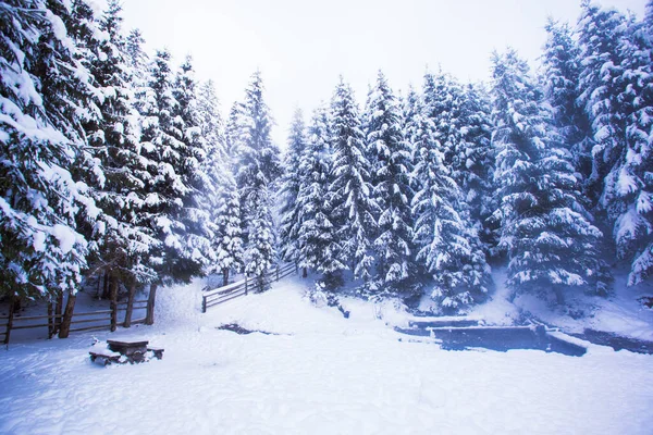 Hiver dans les montagnes et brise-vent après les chutes de neige — Photo