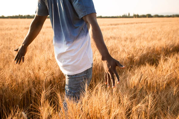 畑の真ん中に立つ若い農家 — ストック写真