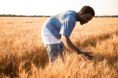 Genç çiftçi tarlanın ortasında duruyor.