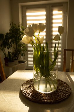 Bahar çiçekleri - ahşap masada cam vazoda beyaz laleler